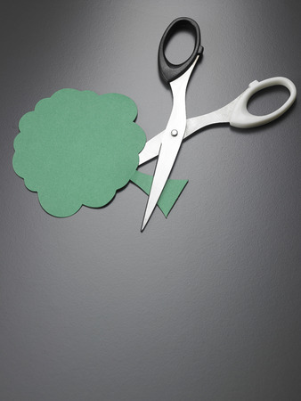 concept of cutting trre away,proctecting  forestの写真素材