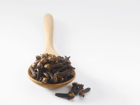 spices-clove on the white background