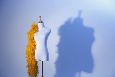 studio shot of female mannequinの写真素材