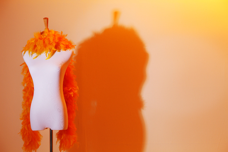 studio shot of female mannequinの写真素材