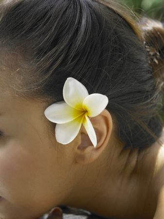 close up of frangipani on the girl earの写真素材