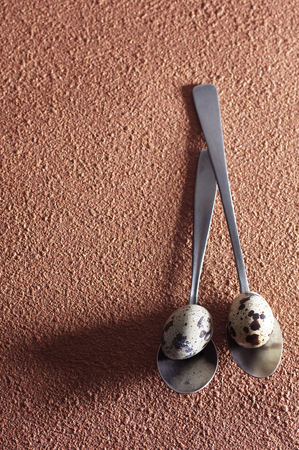 Quail eggs and long tea spoon on the rough surfaceの写真素材