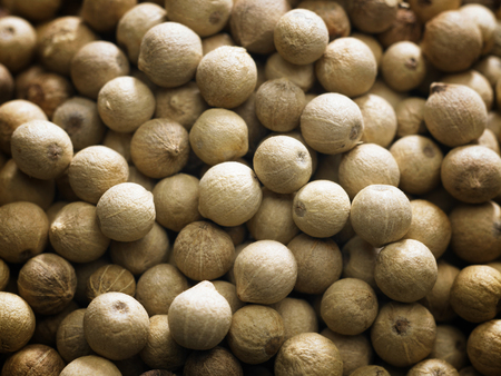 close up of white peppercornsの写真素材