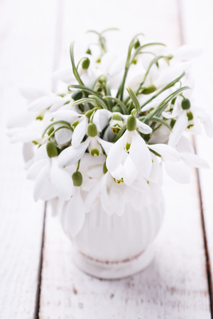 Snowdrops in a vase.selective focus.の写真素材