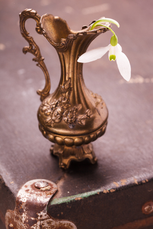 Snowdrops in antique bronze vase, vintage suitcases.selective focusの写真素材