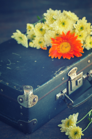 Old suitcase with autumn colors.Toned image. Vintage style. selective focus.の写真素材