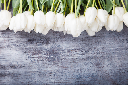 bouquet of white tulips.Flowers of spring and love.Copy space.selective focus.の写真素材