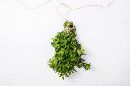 bundle of fresh green herbs, oregano, hanging on a string on a white background. Healthy food or diet concept.の写真素材