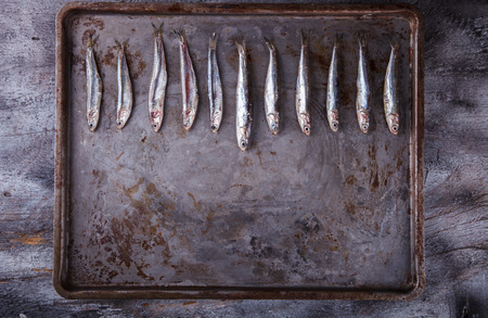 Anchovy Fresh Marine Fish.Copy space.Appetizer. selective focus.の写真素材