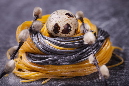 The two-color pasta homemade raw materials in the form of nests with quail egg and willow on a dark background.Easter decorations, selective focus.の写真素材