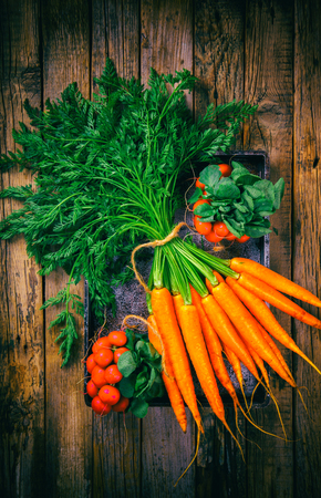 Bunch of fresh carrots with green leaves and a bunch of radishes over wooden background. Vegetable.Food or Healthy diet concept.Vegetarian. selective focus.Toned image.Vintage style.の写真素材