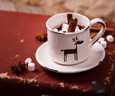 Hot Chocolate with Marshmellow candies. Warming holiday drink with cinnamon sticks . Warm Christmas.Winter Still Life in the Cup.の写真素材