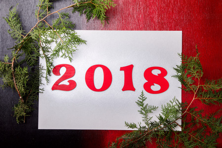 Christmas and New Year Background Figures 2018 Holiday Symbol Red color Spruce branch Top View Copy space for Textの写真素材