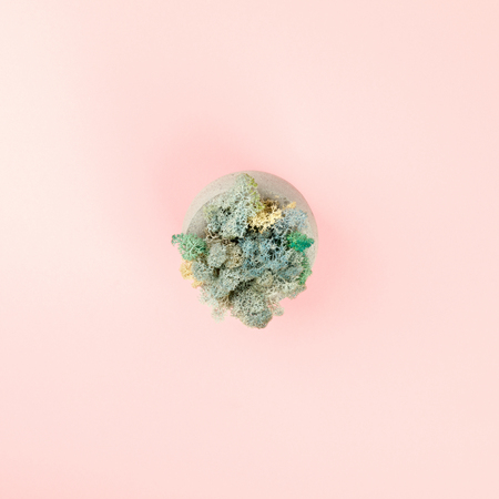 Vase with Stabilized Moss  a Pastel Background. Eco Design Interior.op View. Flat Lay. Copy space for Text.の写真素材