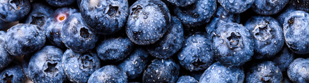 Surface is covered with a thick layer of blueberries. Natural background. Concept Healthy Food. Diet Nutrition . Top View.Single Banner. selective focus.の写真素材