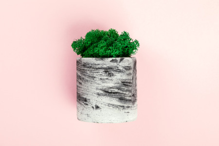 Natural moss stabilized green. Flower in pot. Eco design interior.Top View. Flat Lay.Copy space for Text.の写真素材