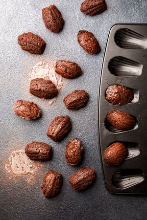 Chocolate Madeleine on a dark background. Classic baked french cookies.Homemade pastry.の写真素材