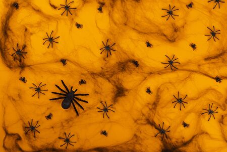 Halloween postcard. Ð¢raditional festival of autumn. Decoration and party concept. Spiders on the web on orange background. Flat lay, top view, copy spaceの写真素材