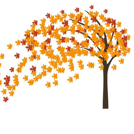 Autumn maple tree in the wind vector illustrationのイラスト素材