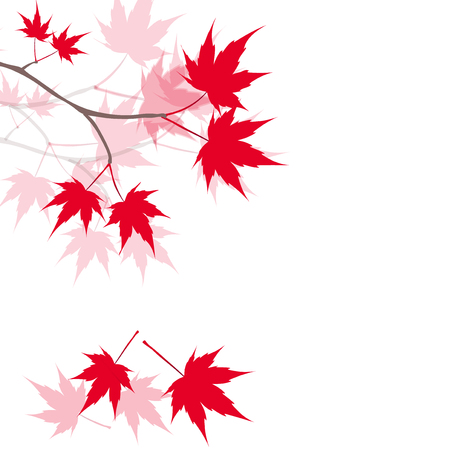 Red maple leaves on the branches. Japanese red maple. Vector illustrationのイラスト素材