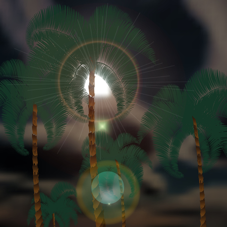 Palm trees in the background of thunderclouds. Sun rays. Vector illustrationのイラスト素材