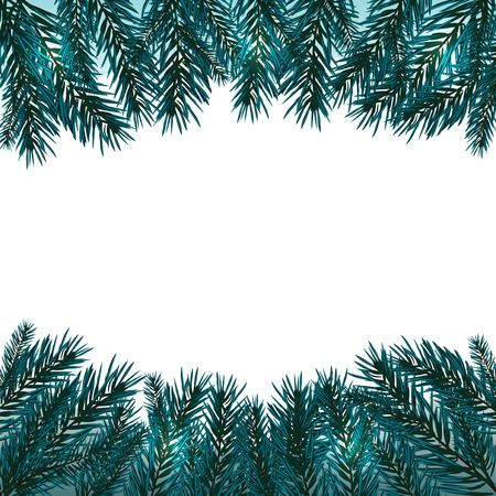 Blue, realistic fir branches. Fir branches with the top and bottom of the picture. Isolated on white  Christmasのイラスト素材