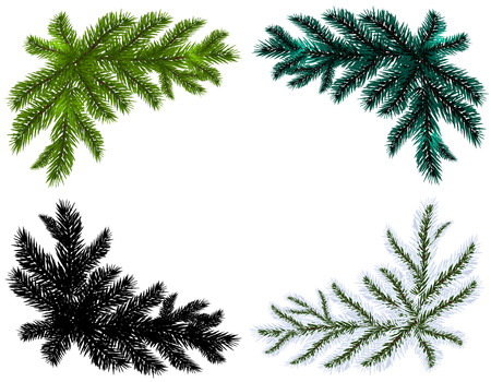 Set. Blue, black, white and green Christmas tree branches on an isolated white background. Vector illustrationのイラスト素材