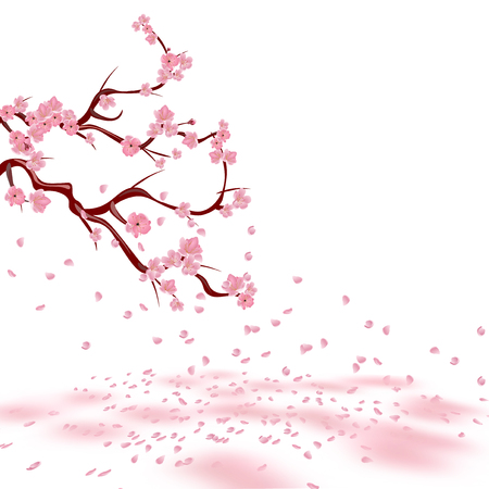 Branches of a faded pink cherry. Sakura. The petals crumble and lie on the ground with pink spots. Isolated on white background. illustrationのイラスト素材