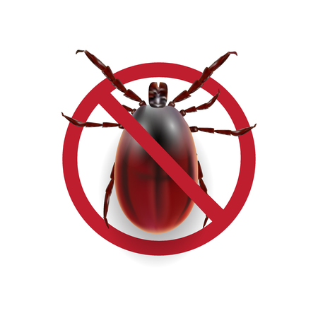 Warning sign. Harvest bug on a white background with shadow. illustrationのイラスト素材