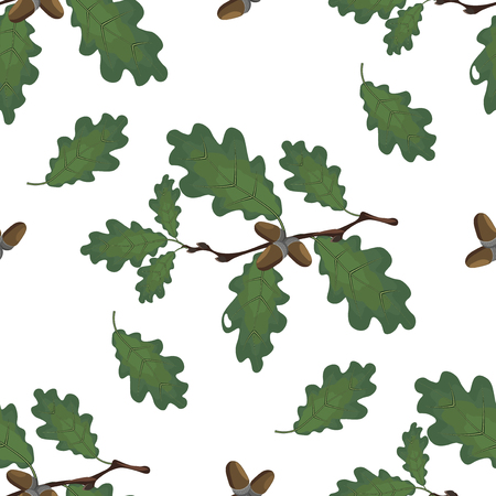 Green branches of oak with acorns and leaves. Seamless. Volumetric drawing without a grid and a gradient. Isolated on white background. illustrationのイラスト素材