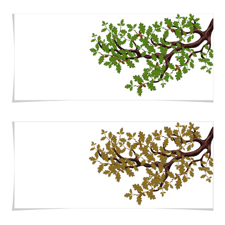 Green and autumn, a yellowed branch of a large oak tree with acorns. Flyer, invitation card or business card. Isolated on white background. illustrationのイラスト素材