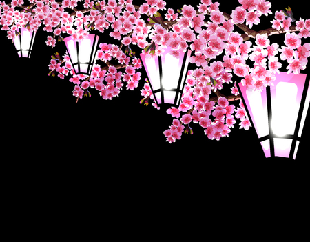Sakura. Magnificent branches of a cherry tree with purple small flowers on a black background. A series of glowing garden lanterns. illustrator.のイラスト素材