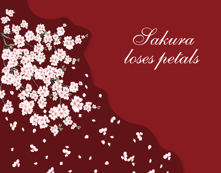 Sakura. Greeting card. A lush cherry branch with pink flowers. The inscription loses petals. Isolated on a dark background. illustrationのイラスト素材