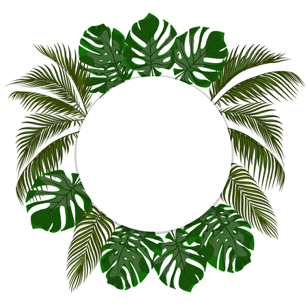 Green leaves of tropical palms in a circle. Monster, agave. Place for announcement, advertising. Isolated on white background. Vector illustrationのイラスト素材