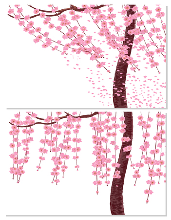 Sakura in the wind and in calm weather. Branches with pink flowers and cherry buds, the trunk of a tree. isolated on white background. vector illustrationのイラスト素材