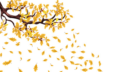 Yellow autumn branch of an oak with acorns. Flying leaves. Vector illustrationのイラスト素材