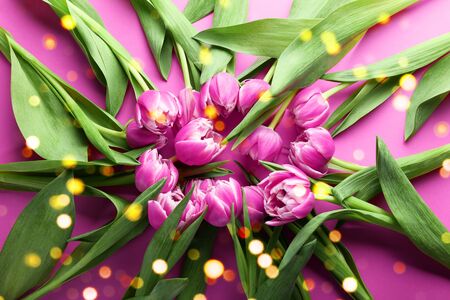 Many beautiful tulips on pink background, top viewの写真素材