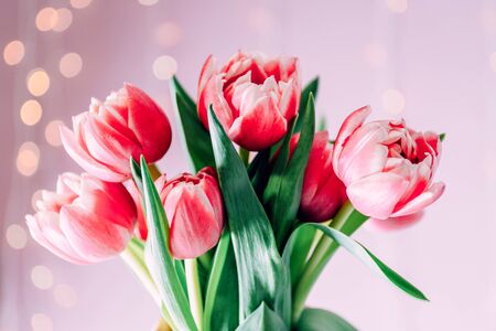 Beautiful bouquet of pink tulips on blurred light backgroundの写真素材