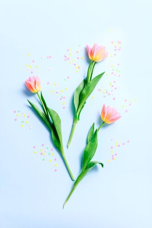 Three pink tulip flowers with confetti on blue background. Flat lay, Top view.の写真素材
