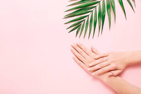 Womans hands with beautiful manicure on pink background. Hands spa conceptの写真素材