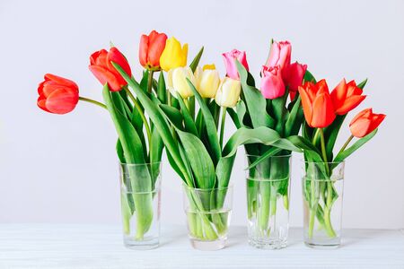 Beautiful orange and yellow tulips on light gray wall background.の写真素材