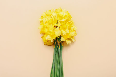 Spring narcissus flowers on color background. Top view