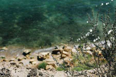 Bright black sea with waves wide sandy beach with large stones on the background of sand dunes, forestsの写真素材