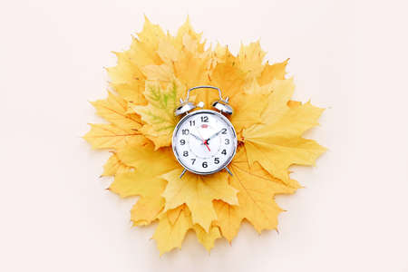 Autumn Time. Silver alarm clock and autumn maple leaves on light color background. Fall season background. Flat lay, top view.の写真素材