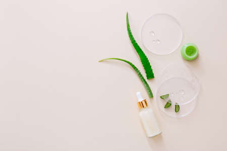 Natural herbal skin care products on light beige background. Aloe vera products. Top viewの写真素材