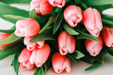Bouquet of gently pink tulips on a light background, close-up.の写真素材