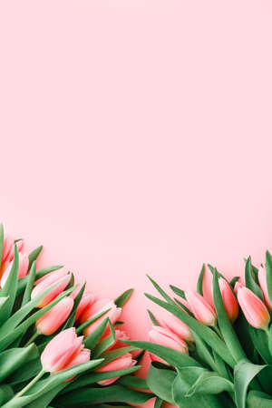 Bouquet of gently pink tulips on a light pink color background, top viewの写真素材