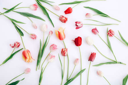 Floral pattern made of beautiful tulips on white background. Flat lay, top view.の写真素材