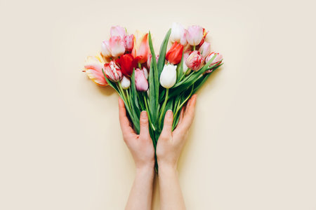Woman hands with beautiful tulips flowers on beige background, top viewの写真素材