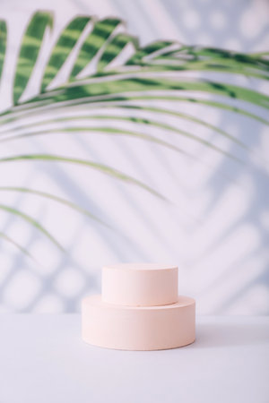 Exhibition podium with geometric shapes on a light background with palm leaves and shadows. Mockupの写真素材
